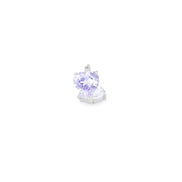 Forever Violet